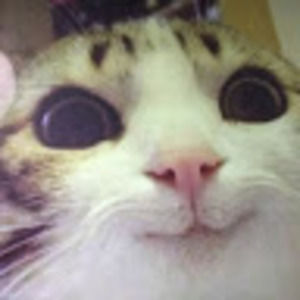 Meet your Posher, Sam